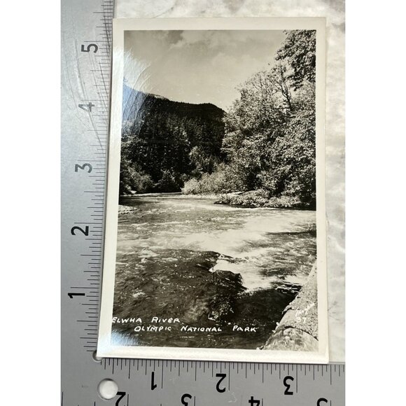 Elwha River RPPC Postcard Vintage Port Angeles WA Olympic National Park - Picture 2 of 6